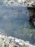060321_1343〜01.jpg